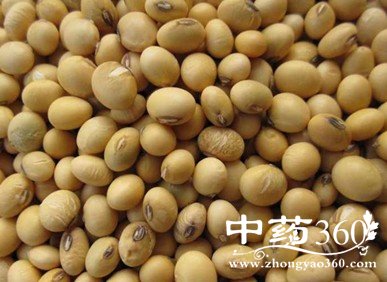 黄豆简单做法 丰胸又减肥!