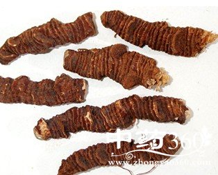 与中药相忌的食物