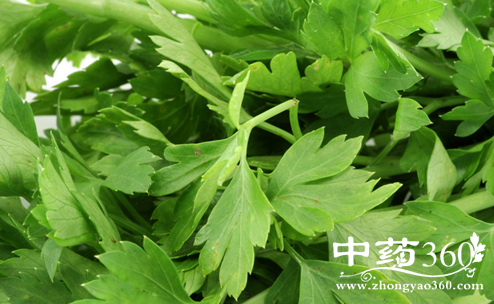 芹菜的营养价值与功效