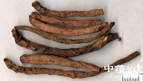 白仙茅的药用价值与功效