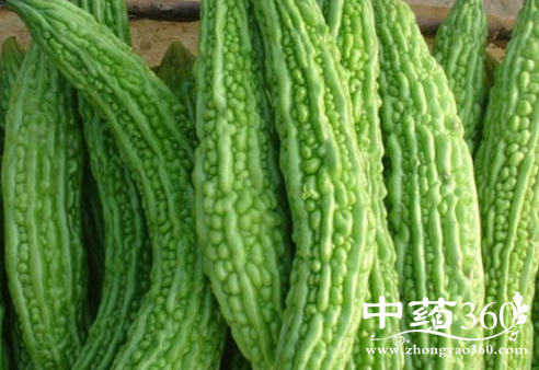 苦瓜的营养价值与功效作用