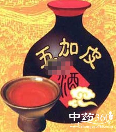 <a href='https://www.zhongyao360.com/z/wujiapi/' target='_blank'>Ƥ</a>