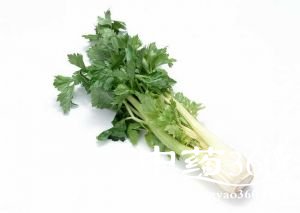 芹菜的功效与作用
