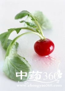 红萝卜的功效与作用