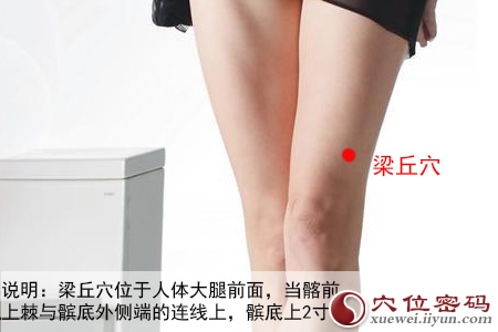 梁丘穴位位置图 梁丘穴位位置图