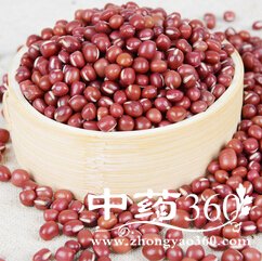 秋季饮食,秋季滋阴润肺的食物