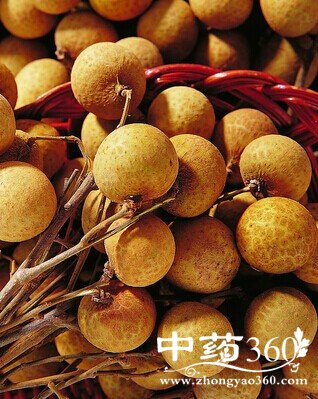 怕冷是什么原因,女性冬季怕冷的调理方案