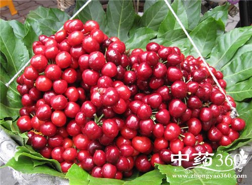 樱桃的功效和作用 多吃樱桃可以活血润肤