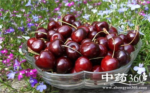 樱桃的功效和作用 多吃樱桃可以活血润肤(2)