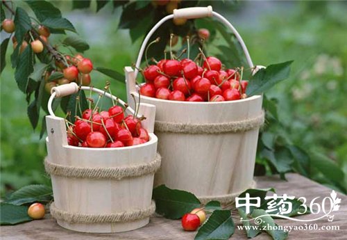 樱桃的功效和作用 多吃樱桃可以活血润肤(2)