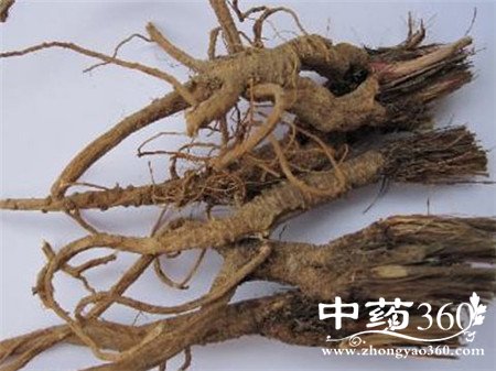 柴胡偏方怎么用 对症下药是关键(2)