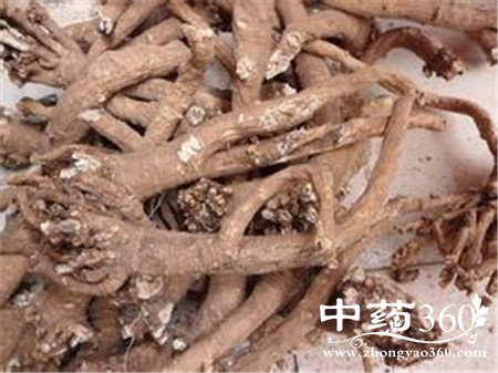 柴胡偏方怎么用 对症下药是关键(2)