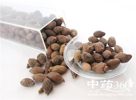 胖大海怎么泡才好 泡不开就试试这个办法