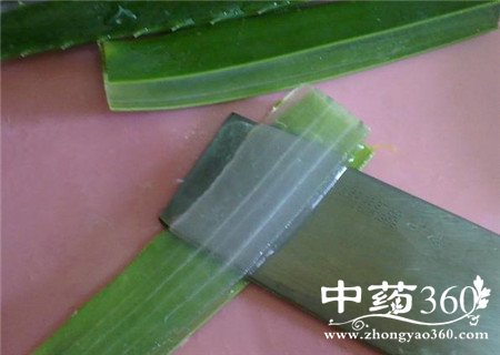 芦荟可以生吃吗 这样吃清凉泻火好味道(2)