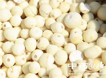 芡实食用的注意事项 如此食用更营养(2)