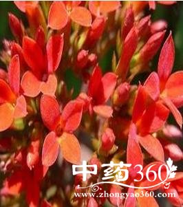 360截图20160712104220203.jpg 360截图20160712104220203.jpg