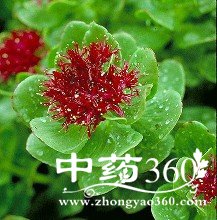 下载.jpg 下载.jpg