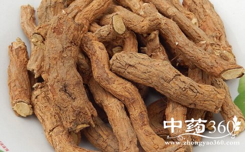地骨皮泡水喝的禁忌 地骨皮泡水喝的副作用 地骨皮泡水喝的坏处