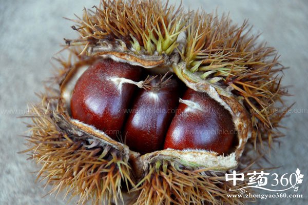 chibanliyoushenmehaochu