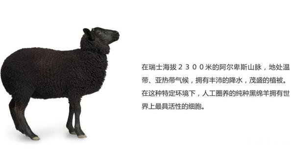 lise5iPraVCIA.jpg lise5iPraVCIA.jpg