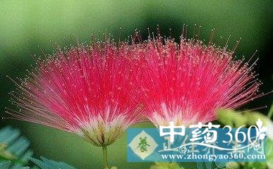 t01d61bc23b6be10f20.jpg t01d61bc23b6be10f20.jpg