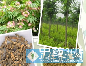 微信截图_20161208103812.png 微信截图_20161208103812.png