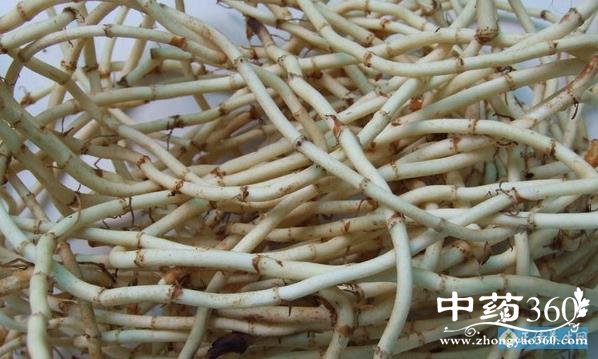 111_P_1407449920646.jpg 111_P_1407449920646.jpg