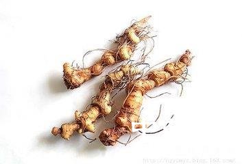 t019d012b76618a29c8.jpg t019d012b76618a29c8.jpg