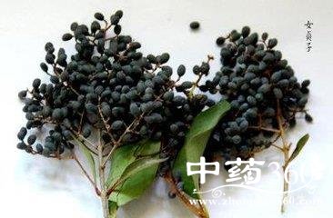 t01590a2cc83e40a26c.jpg t01590a2cc83e40a26c.jpg