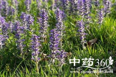 t0195c08eab7106b6a2.jpg t0195c08eab7106b6a2.jpg