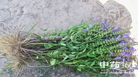 微信截图_20161224110957.png 微信截图_20161224110957.png