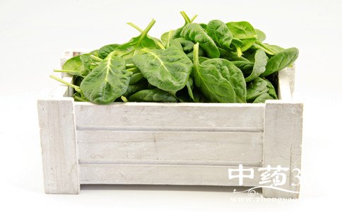 春季养生吃什么 春季养生吃什么好 春季养生饮食