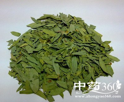 番泻叶的功效与禁忌