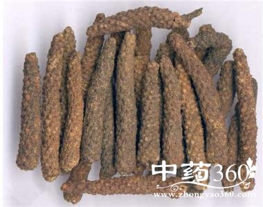 荜茇的功效与作用