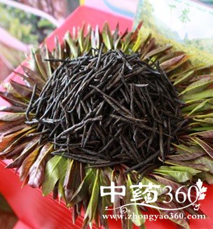 真品质的苦丁茶可以这样来识