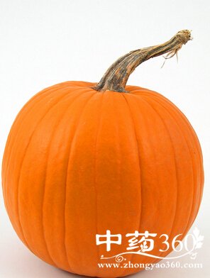 南瓜的营养价值,吃南瓜的一些禁忌