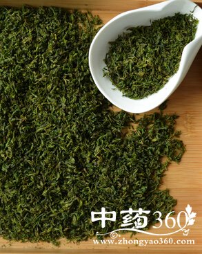 小叶苦丁茶,小叶苦丁茶的功效和冲泡方法