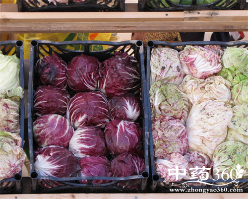 紫甘蓝的几种做法 紫甘蓝的吃法