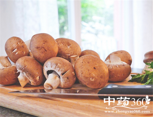 松蘑的营养价值 松蘑的几种做法