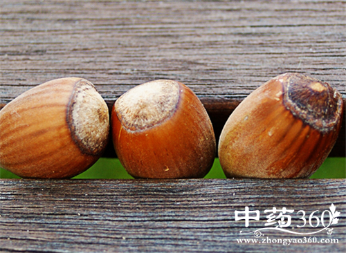 榛蘑的营养价值 榛蘑的各种做法