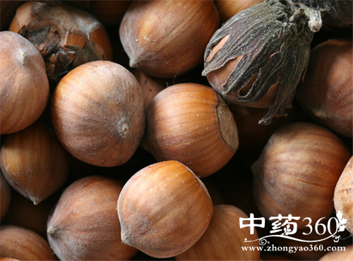 榛蘑的营养价值 榛蘑的各种做法