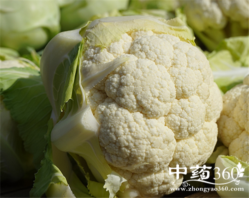 菜花的几种吃法 菜花的营养做法