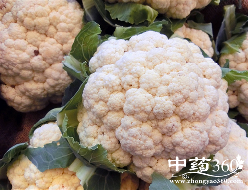 菜花的几种吃法 菜花的营养做法