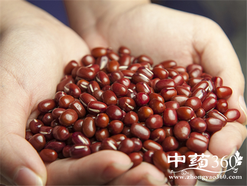 甜豆的家常做法 甜豆的营养吃法