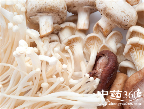 平菇的营养价值 平菇的各种做法