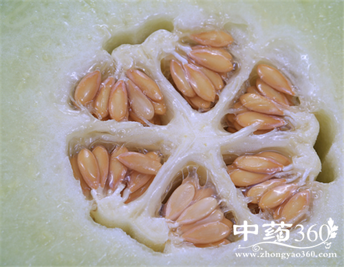 冬瓜的营养价值 冬瓜的药用价值