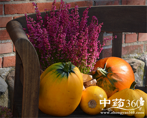 冬瓜的营养价值 冬瓜的药用价值