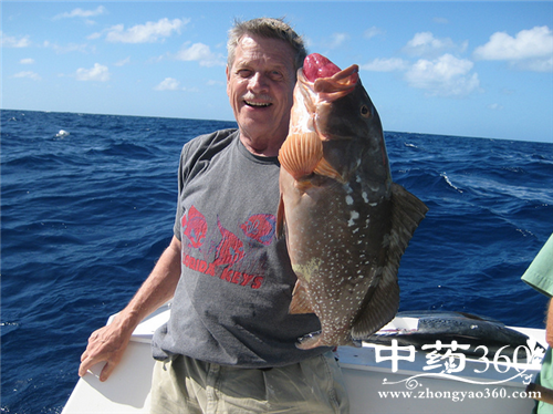 石斑鱼的家常做法 石斑鱼怎么做好吃