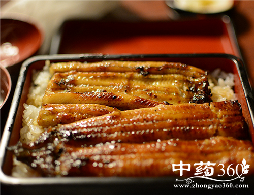 鳗鱼的营养价值 鳗鱼的家常做法