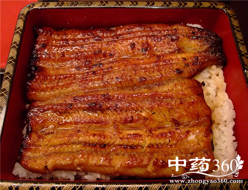 鳗鱼的营养价值 鳗鱼的家常做法